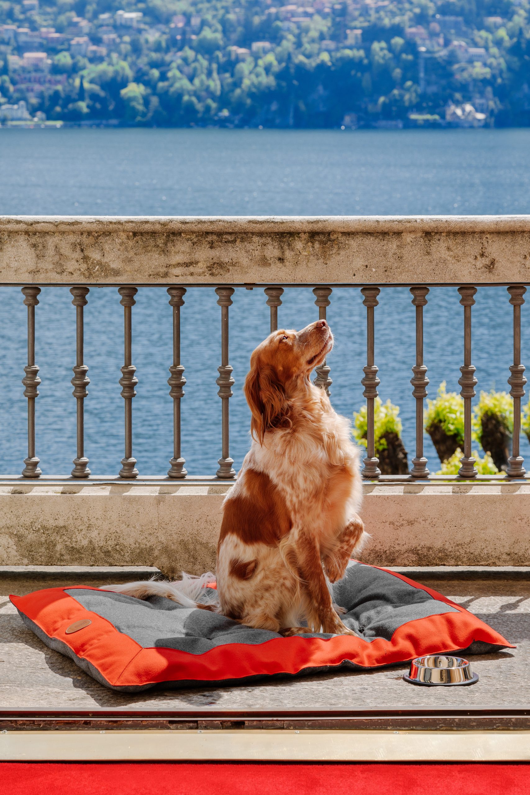 VDE-Ambient2021-014-102